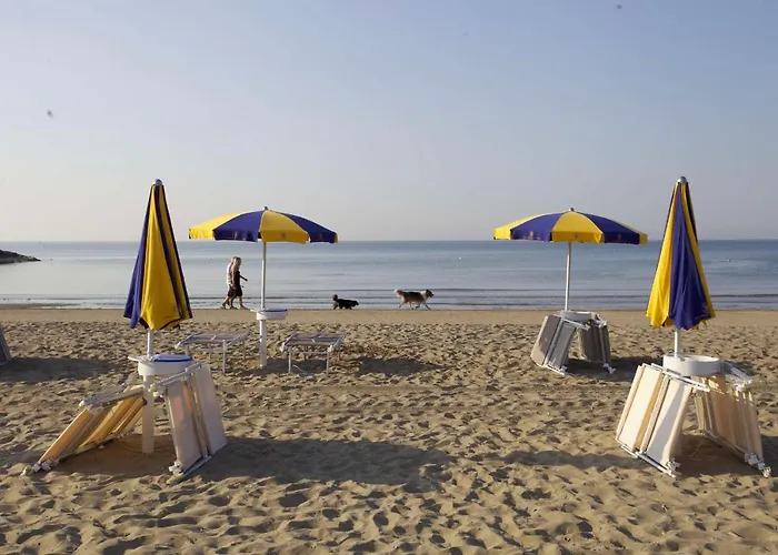 Otel The Park Wellnessspa & Restaurant